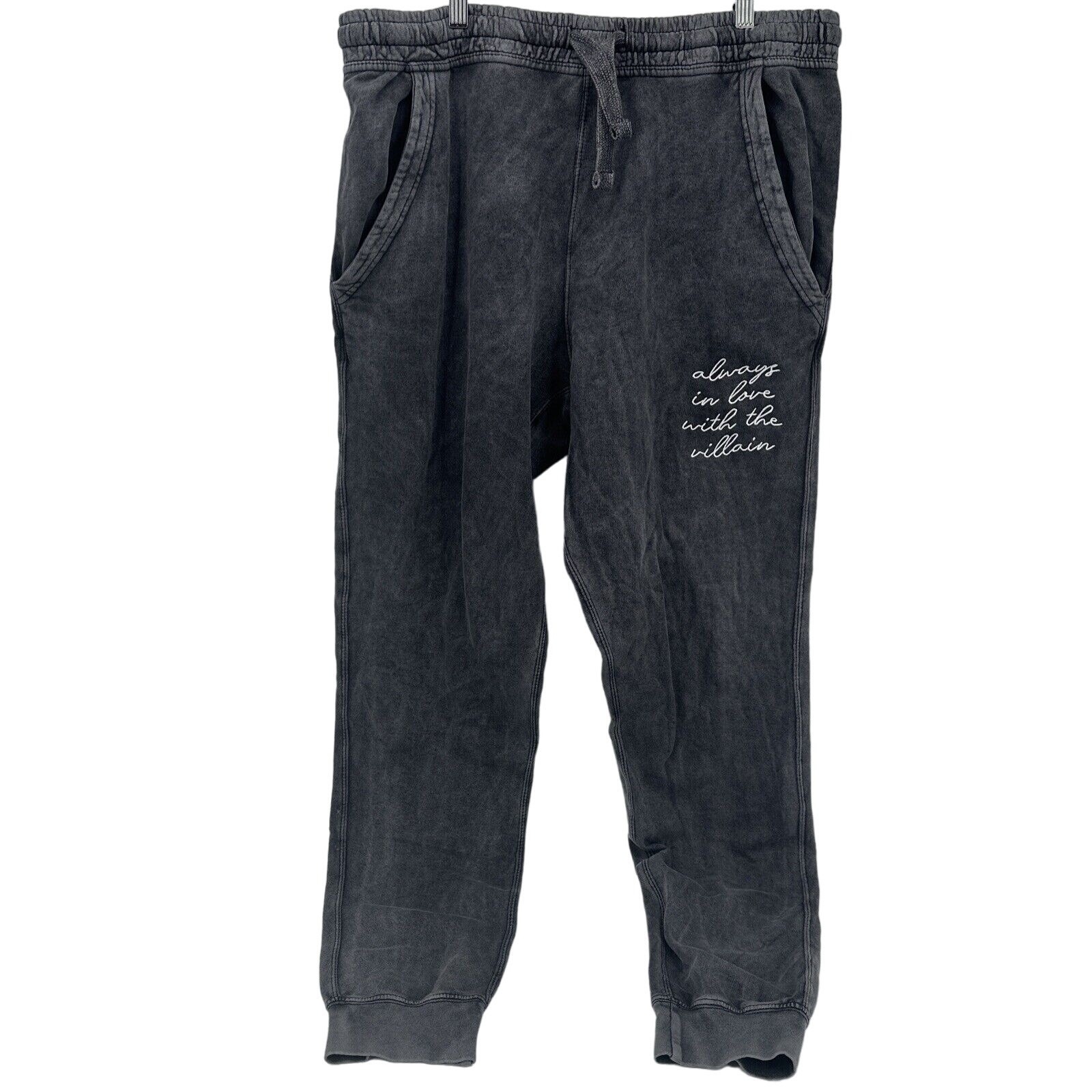 Lane 7 Sweatpants Mens 2xl Gray Always In Love With The Villain Jogger